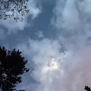 Meet your Posher, Xochitl